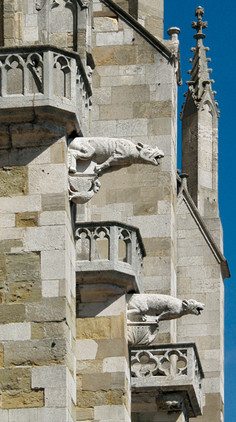 Wasserspeier am Dom: Fotografie